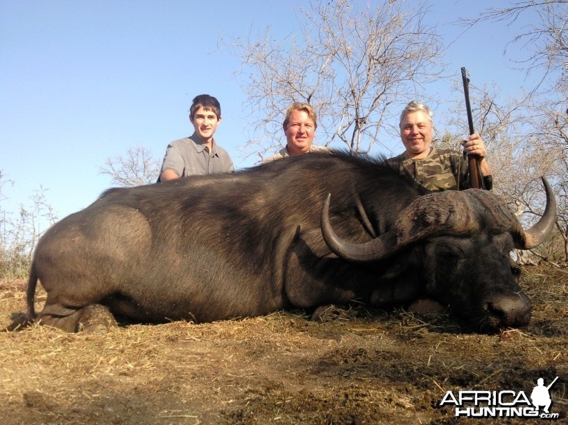 Hunting Buffalo