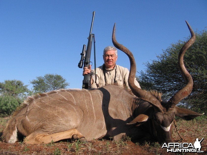 Hunting Kudu 55 inch