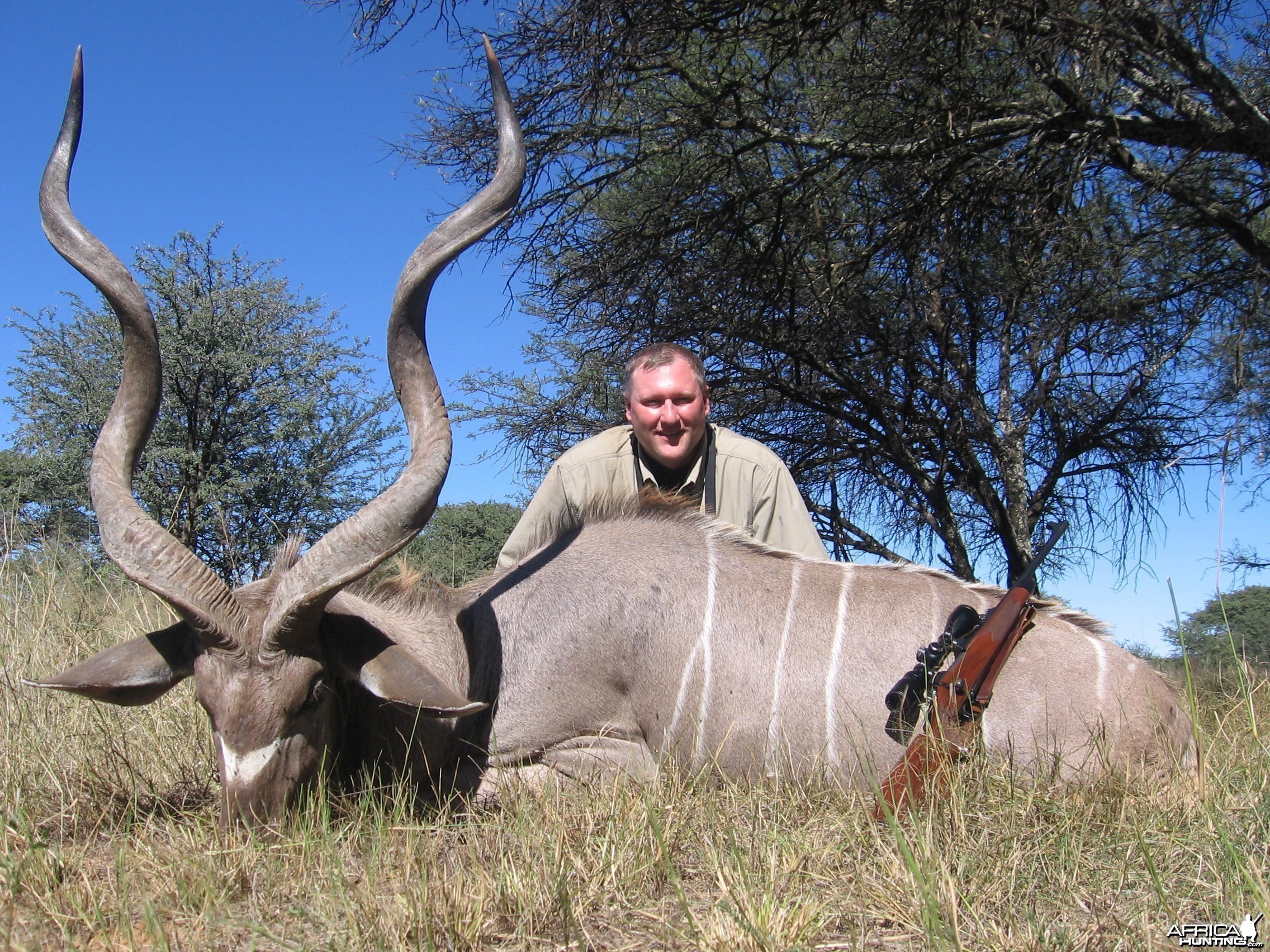 Hunting Kudu