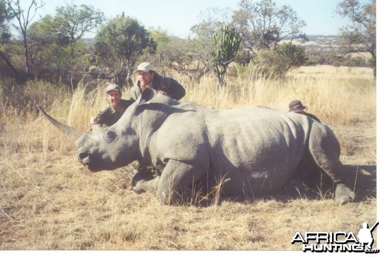 Hunting White Rhino