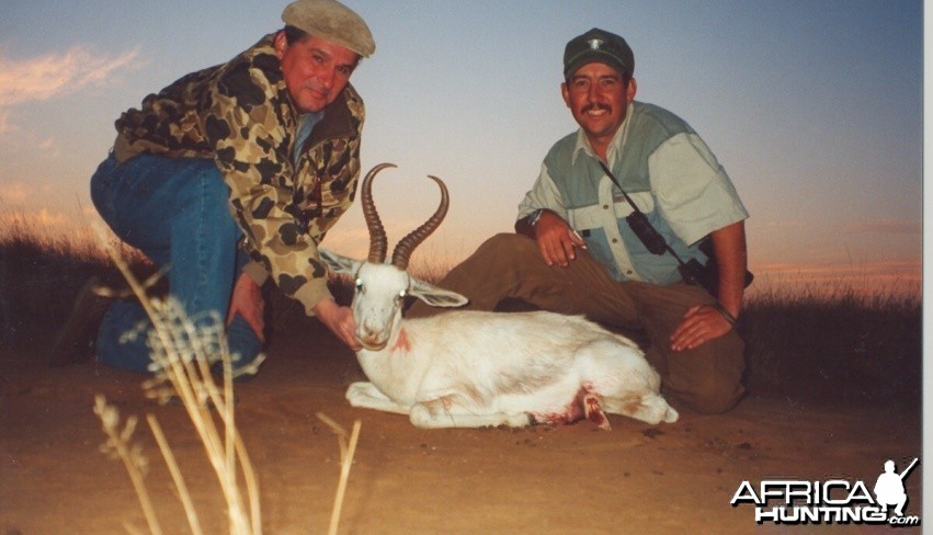 Hunting White Springbok