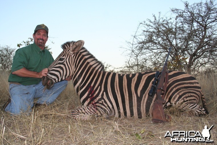 Hunting Zebra