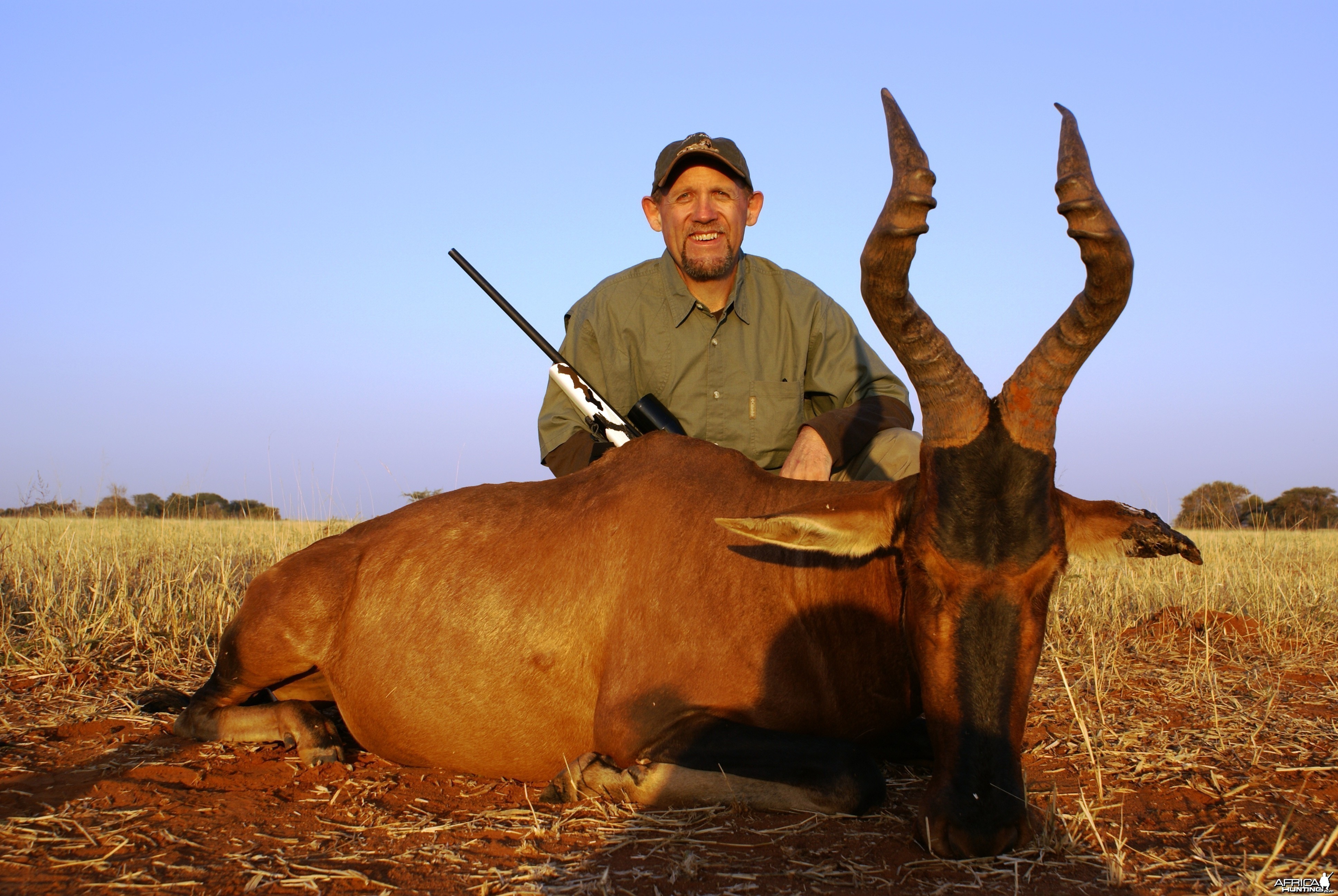 Hunting Hartebeest