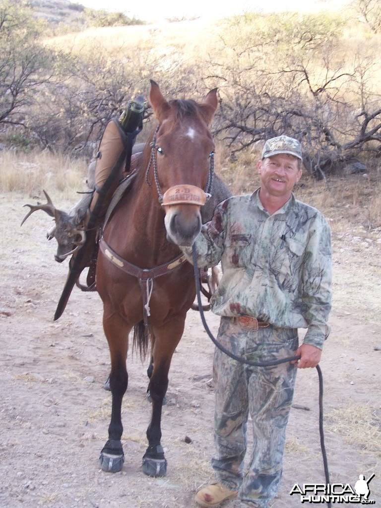 Hunting Coues Deer Arizona