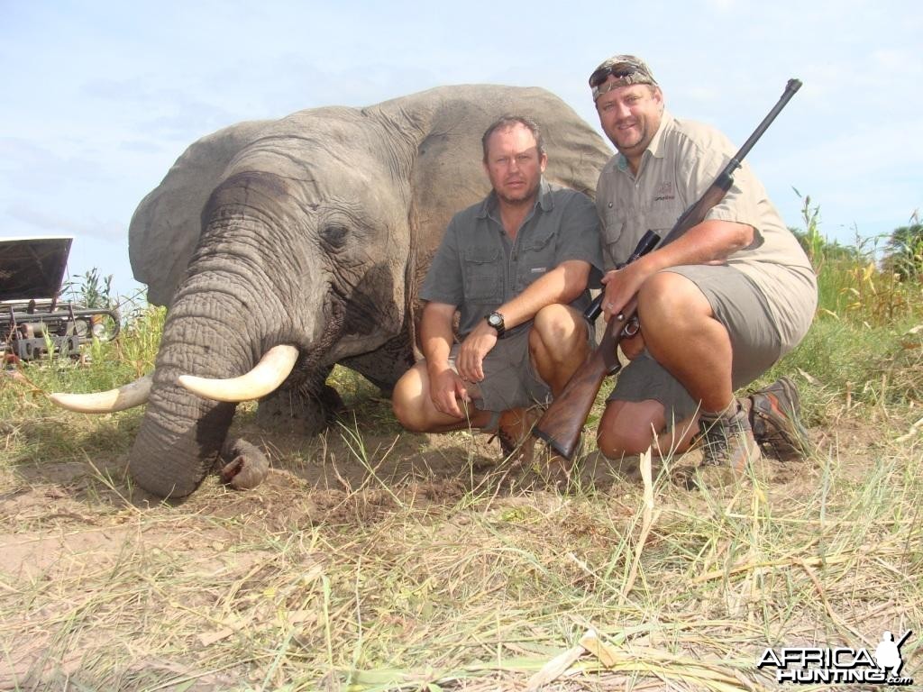 Elephant hunted by Hein Uys and client form Grootpan Hunting Safaris
