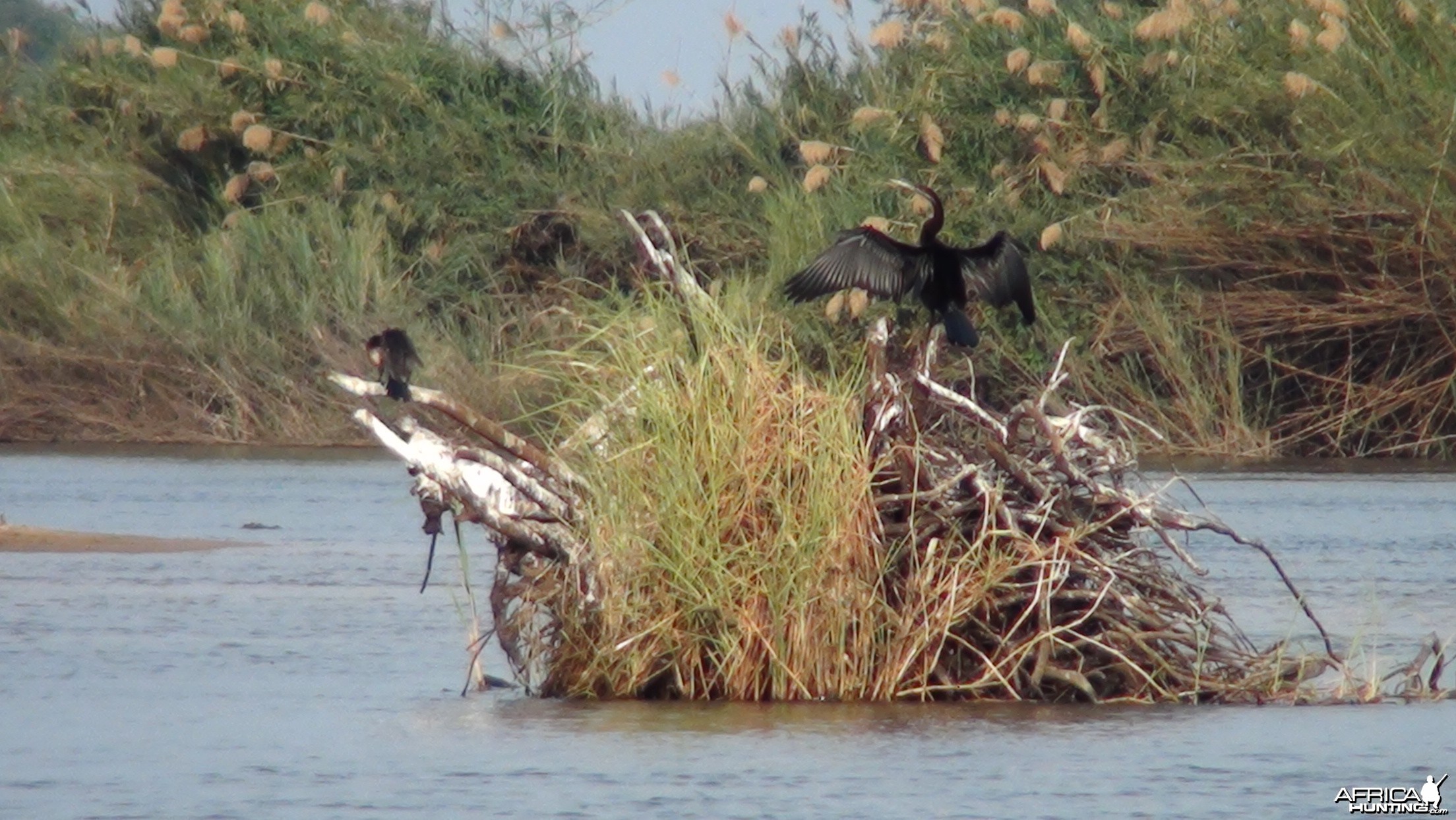 Caprivi Namibia