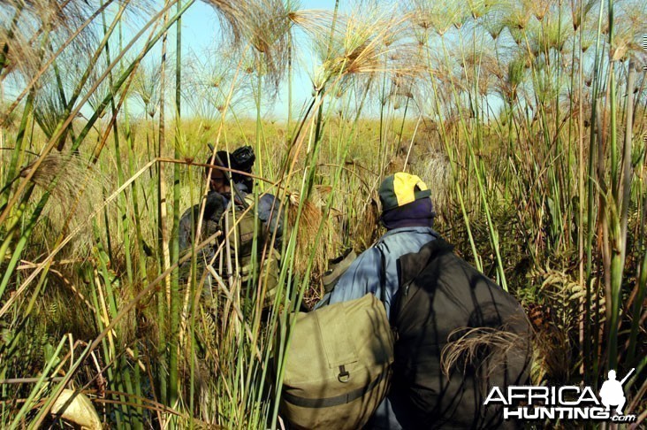 Hunting Zambia