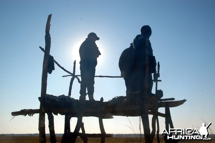 Hunting Zambia