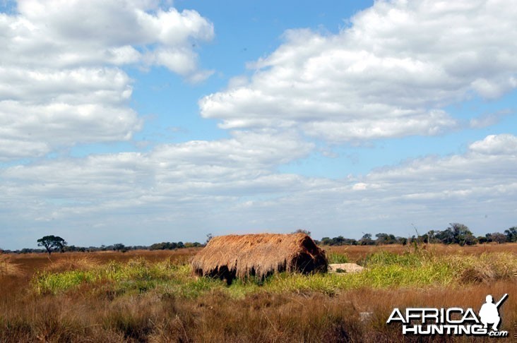 Hunting Zambia