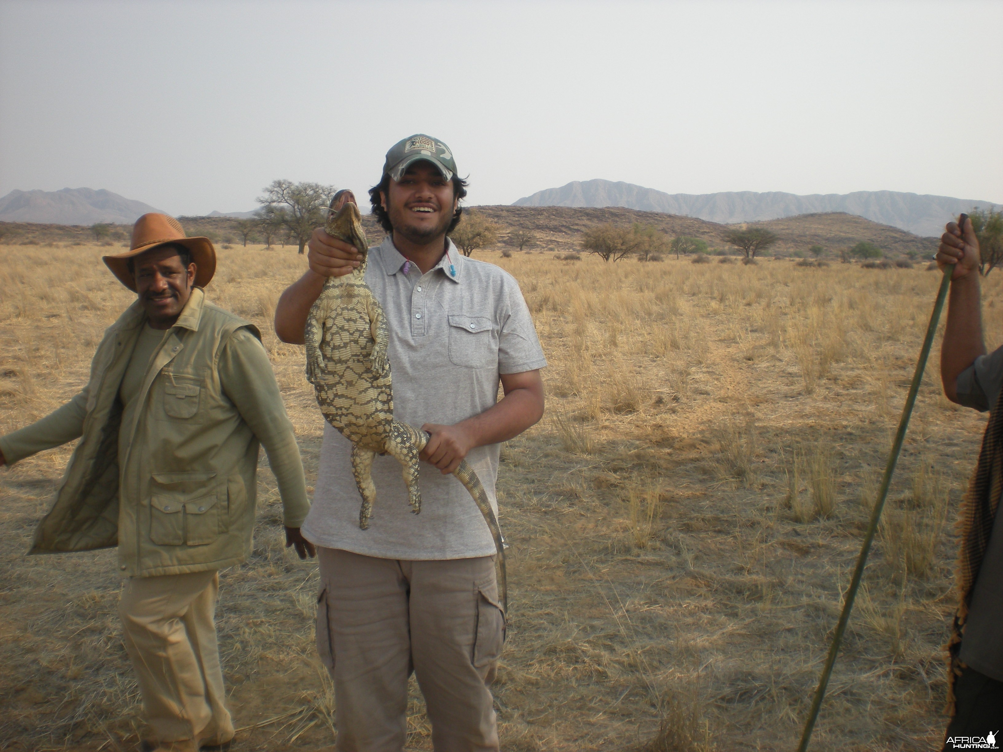 Monitor Lizard Namibia