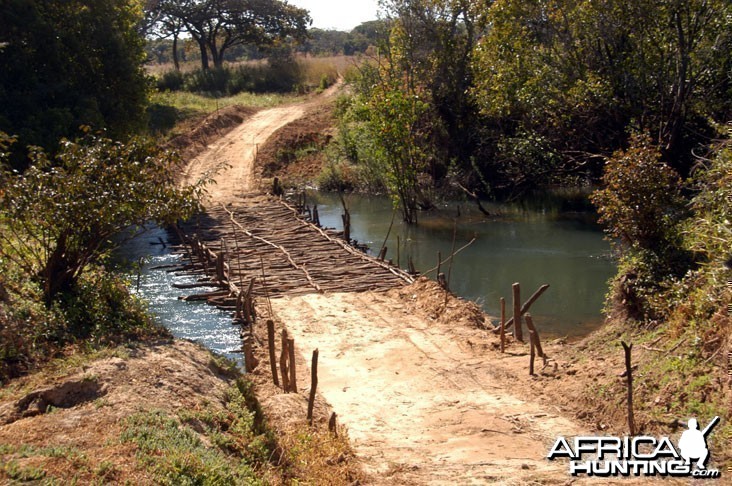 Hunting Zambia