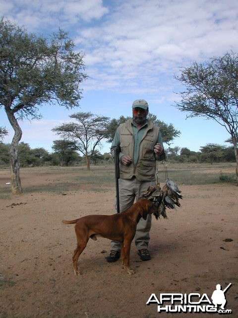 Bird Hunting Namibia Africa