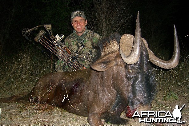 Bowhunting Black Wildebeest