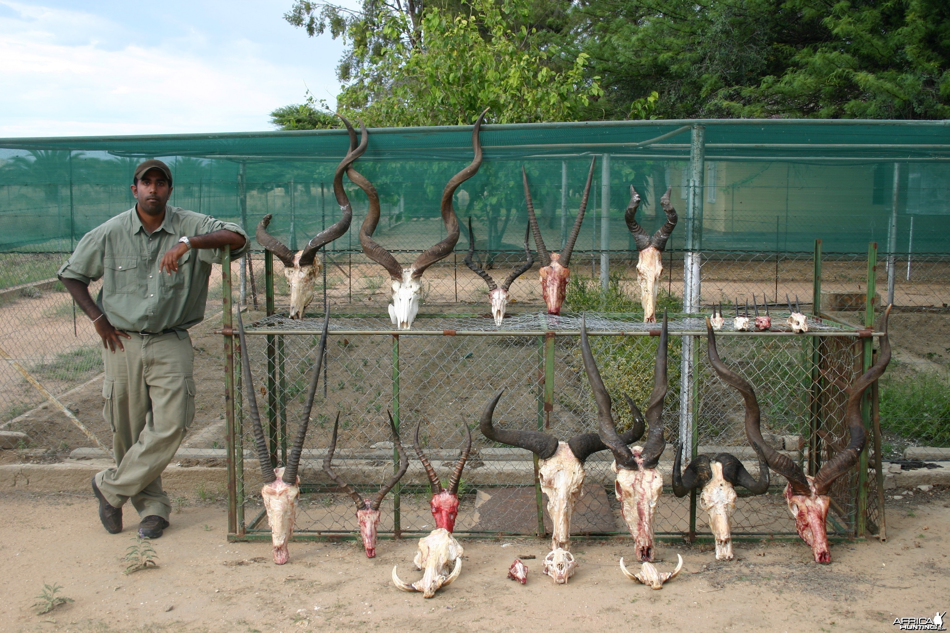 Trophies Namibia