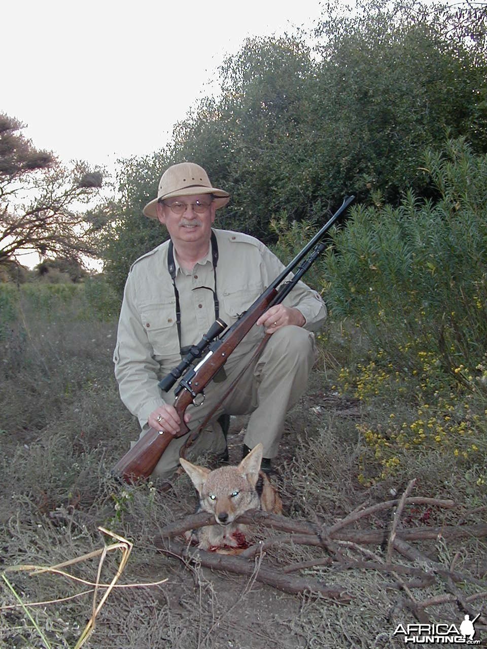 Hunting Black-backed Jackal in Namibia