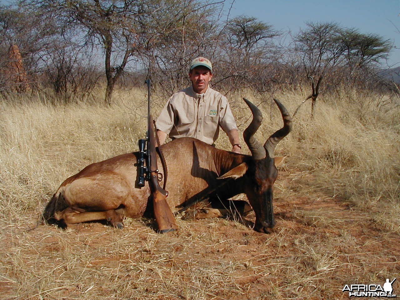 Hunting Red Hartebeest in Namibia