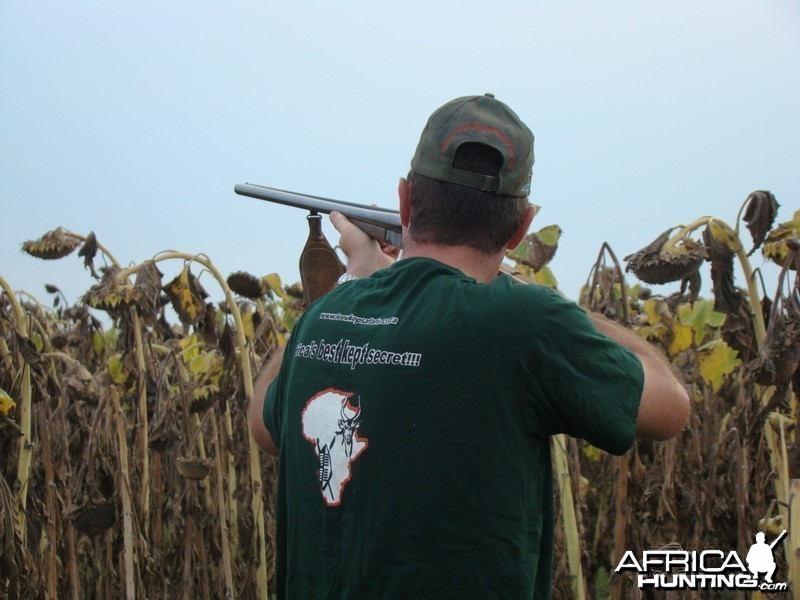 Bird Hunting South Africa