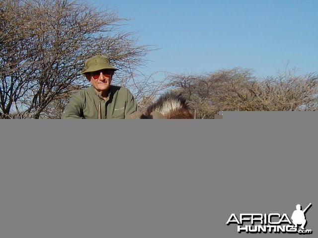 Hunting Black Wildebeest in Namibia