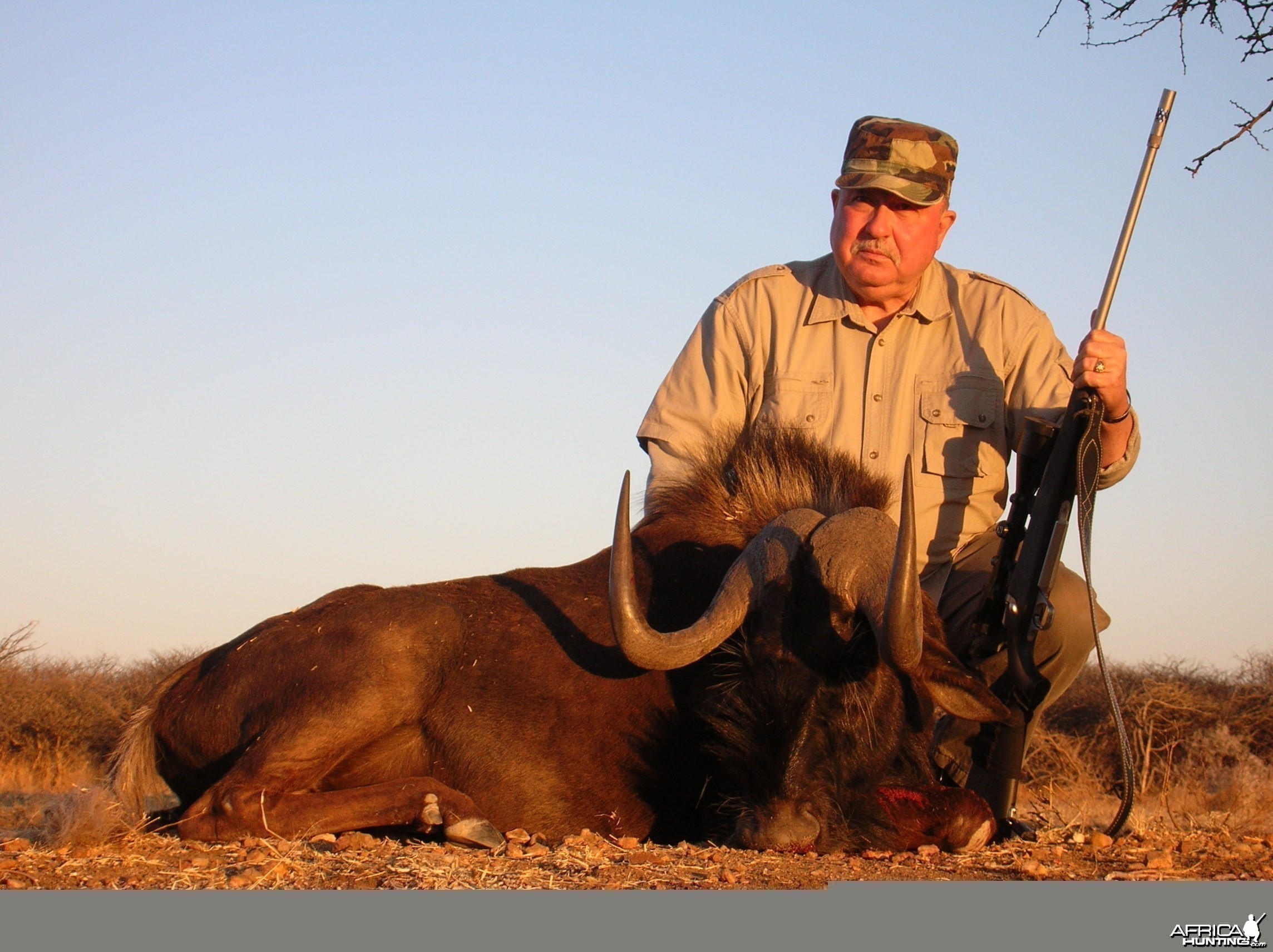 Hunting Black Wildebeest in Namibia