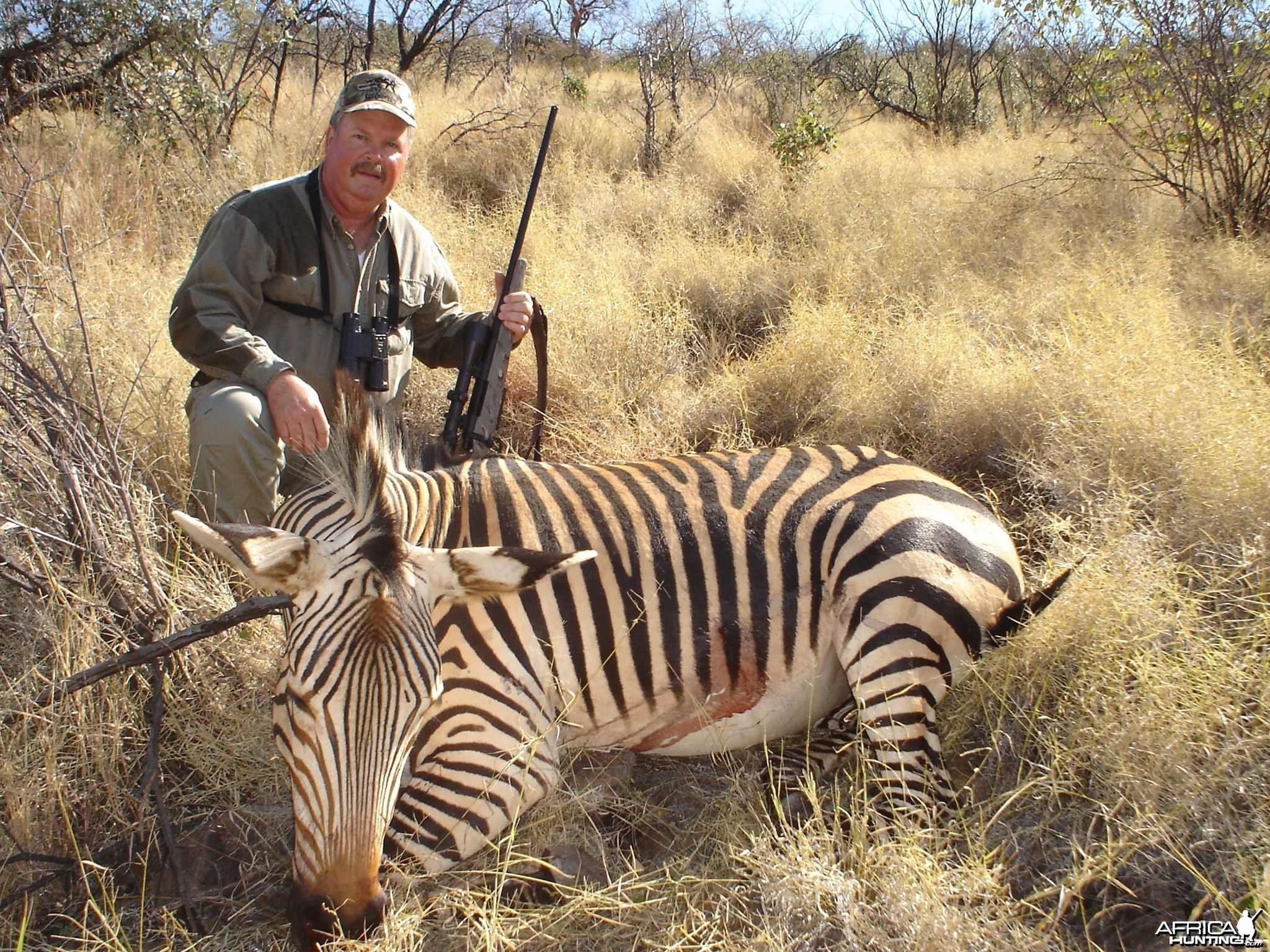 Hunting Hartmann's Mountain Zebra in Namibia