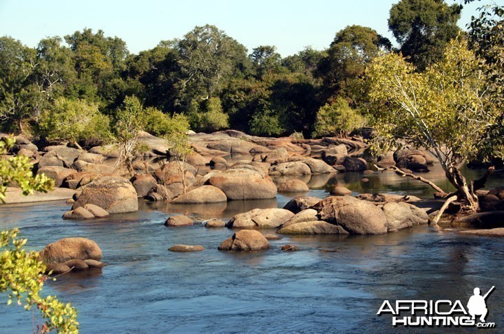 Hunting in Zambia