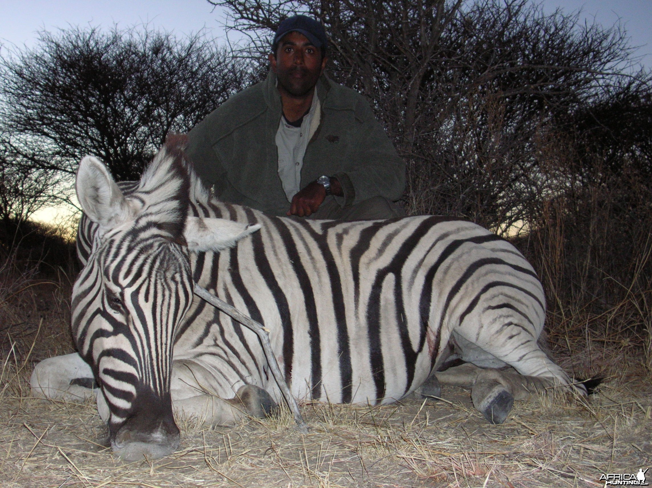 Hunting Burchell's Plain Zebra in Namibia