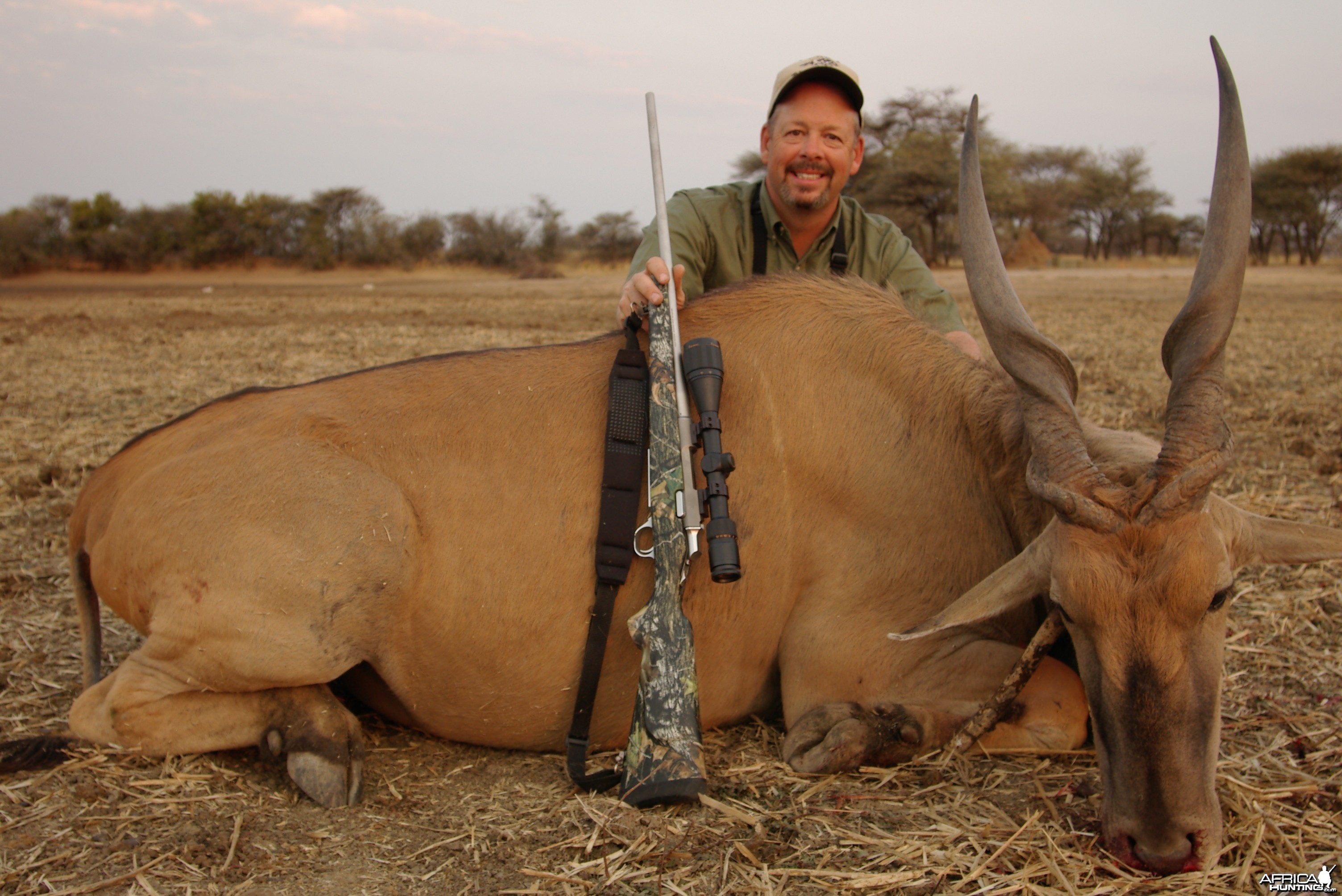 Hunting Cape Eland in Namibia