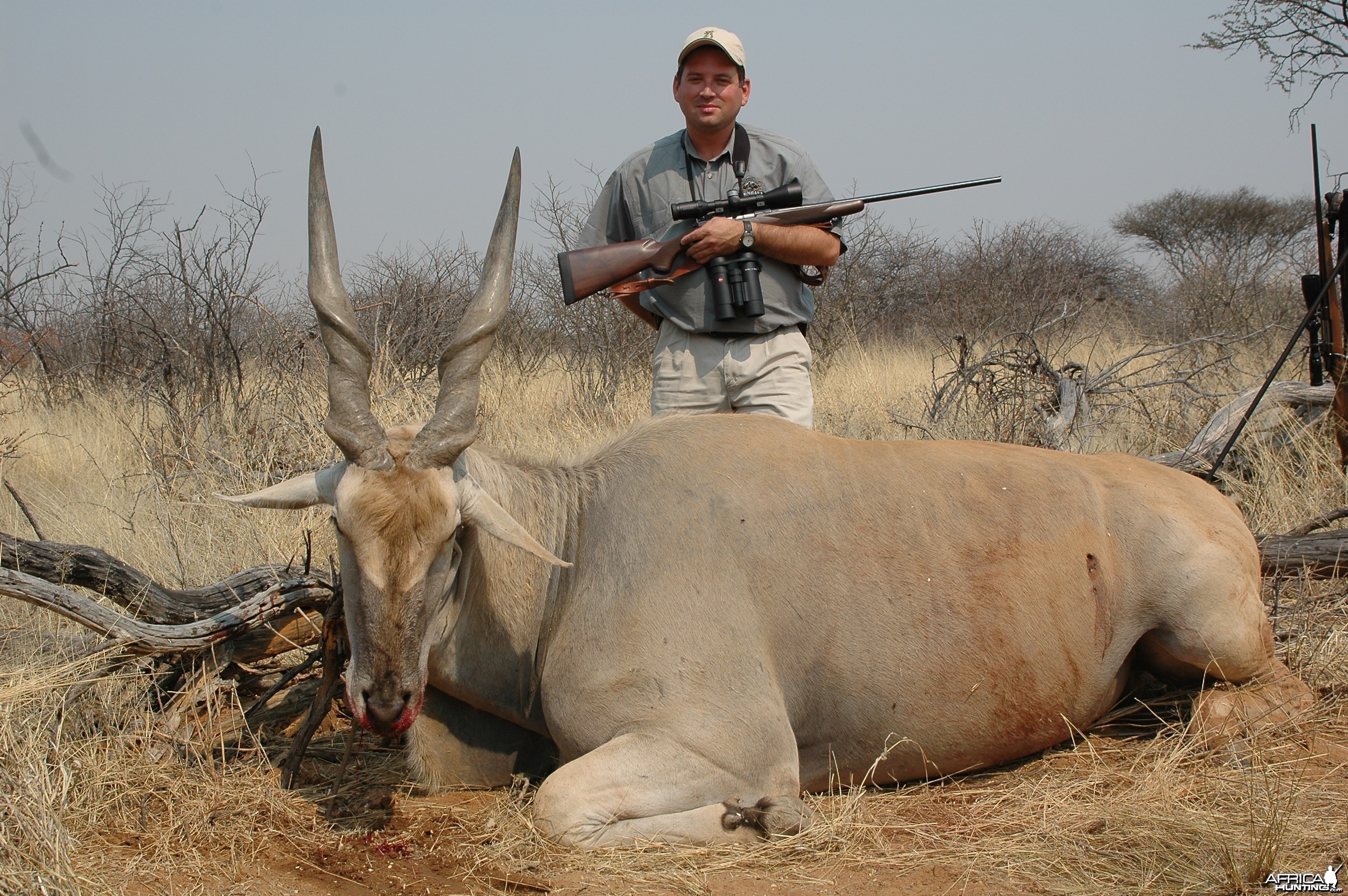 Hunting Cape Eland in Namibia