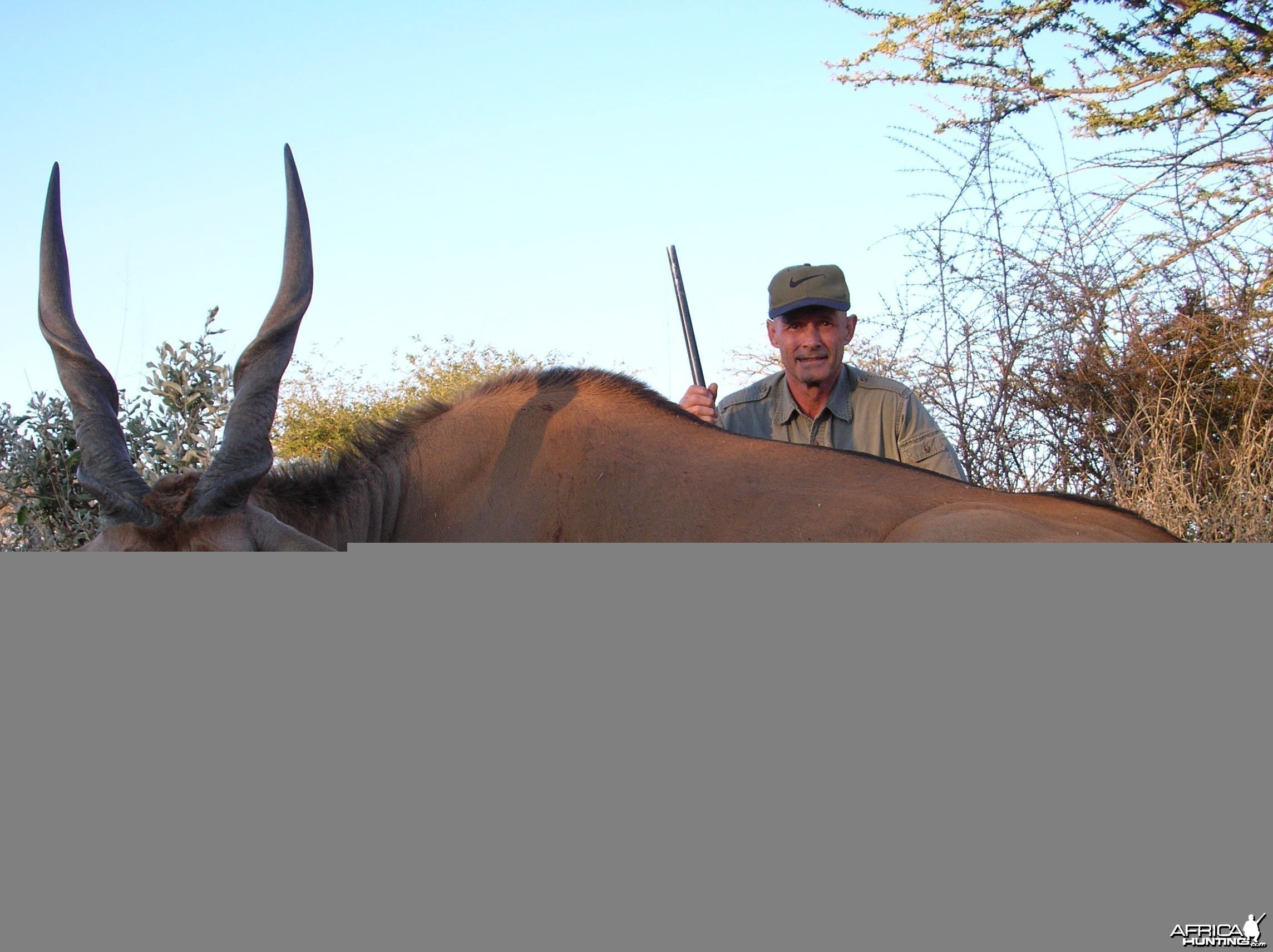 Hunting Cape Eland in Namibia