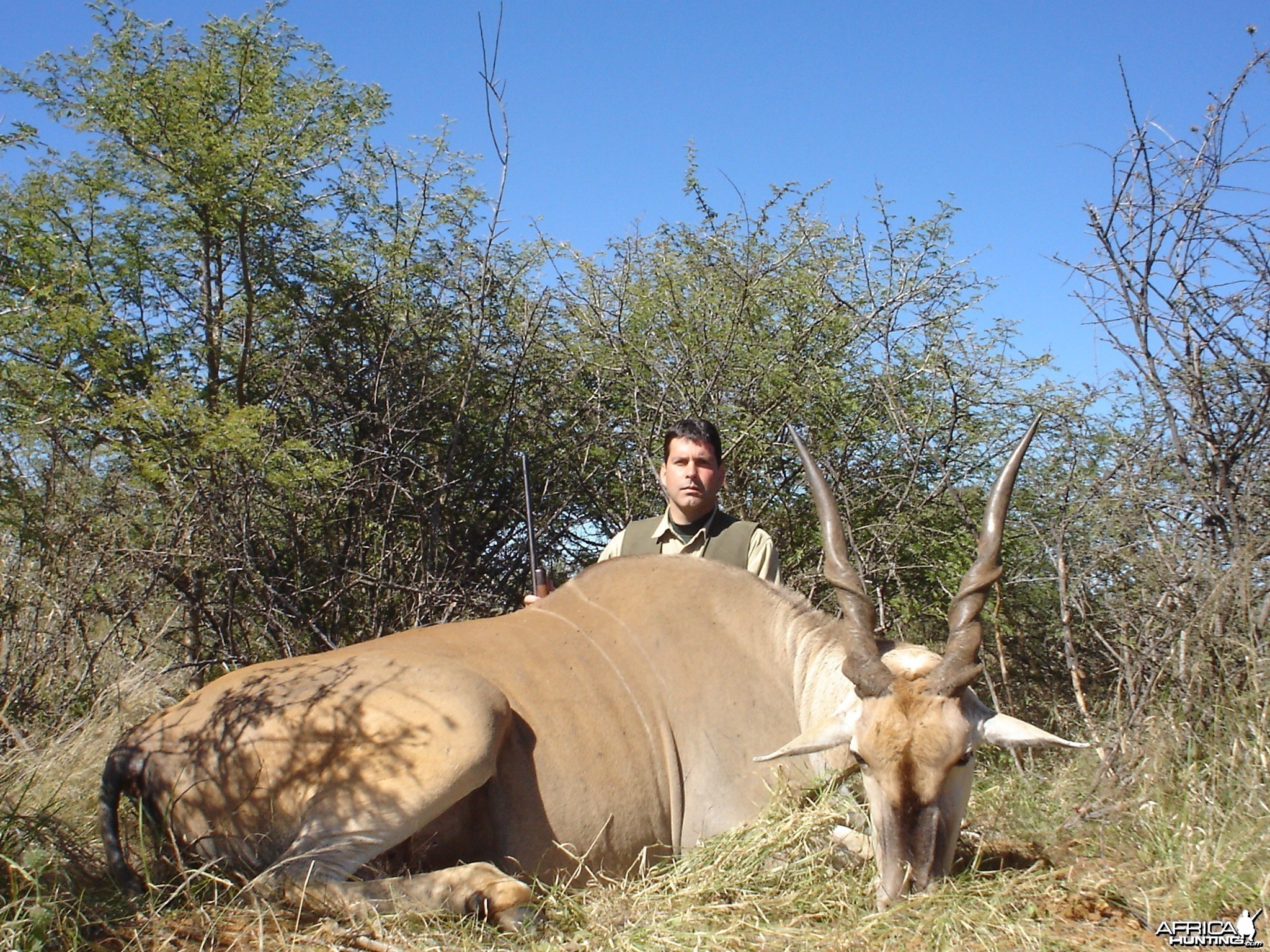 Hunting Cape Eland in Namibia