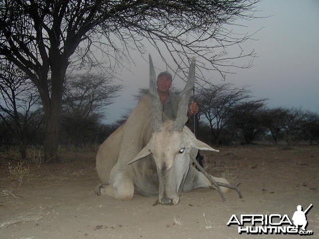 Hunting Cape Eland in Namibia