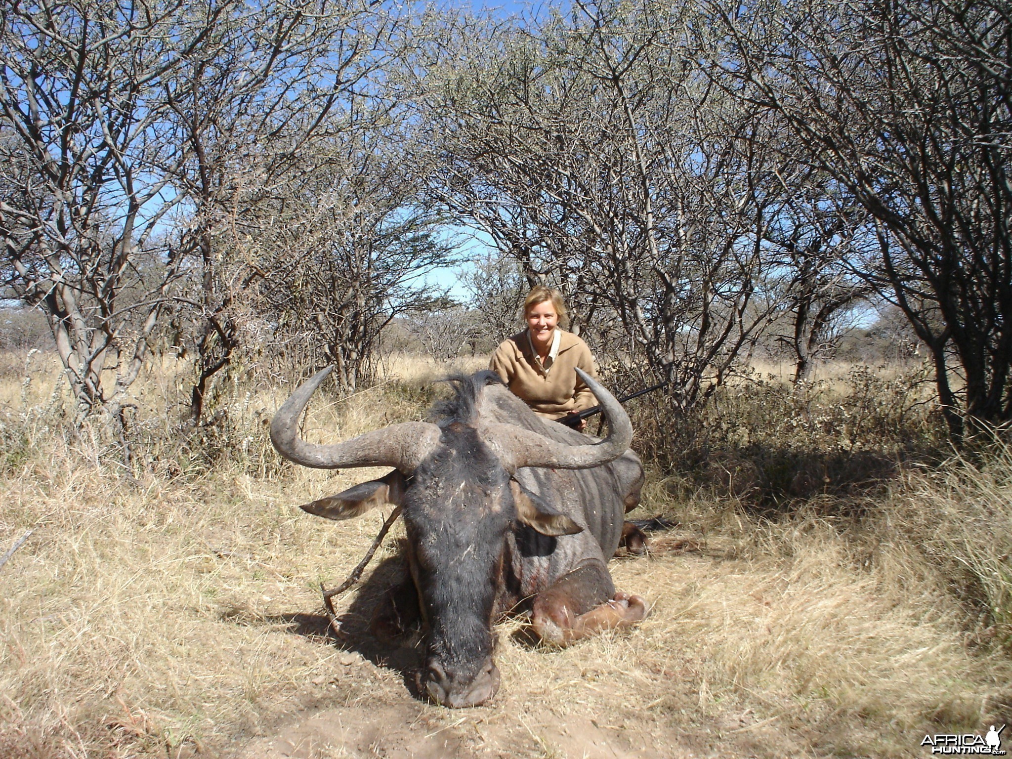 Hunting Blue Wildebeest in Namibia