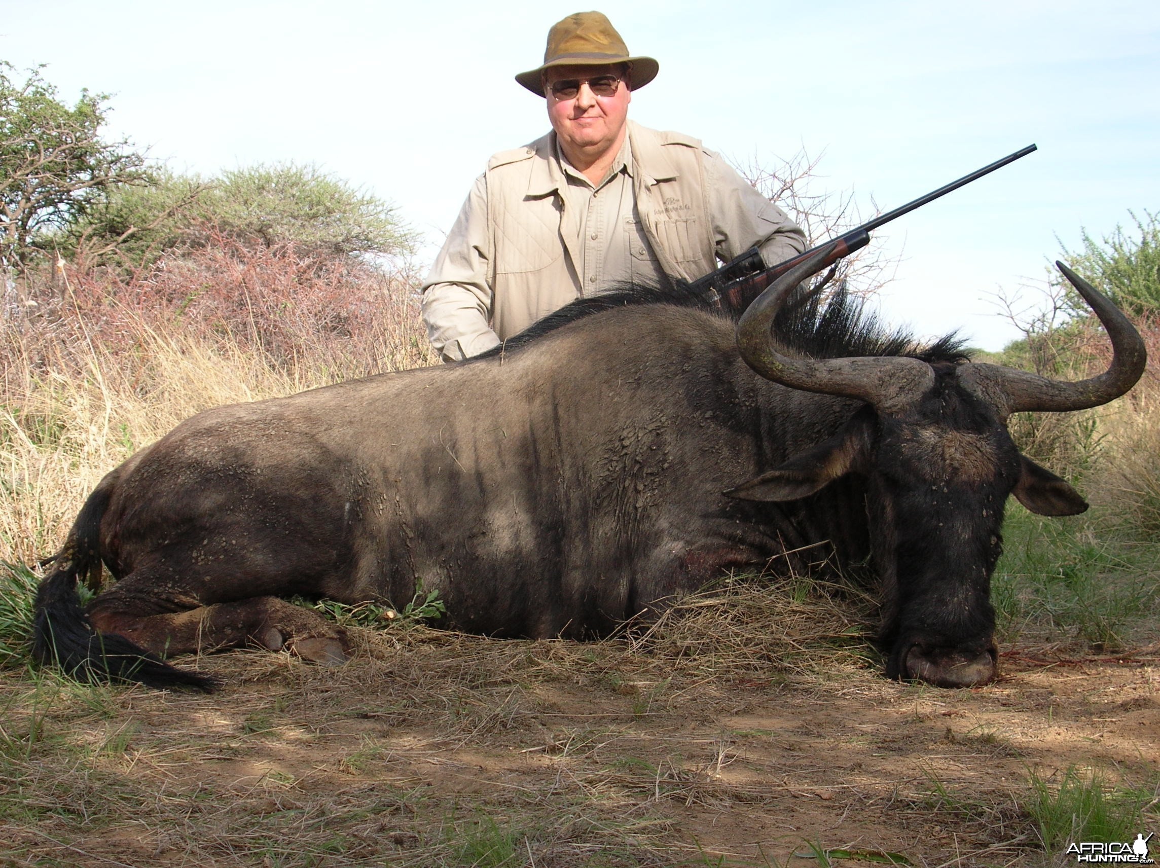 Hunting Blue Wildebeest in Namibia