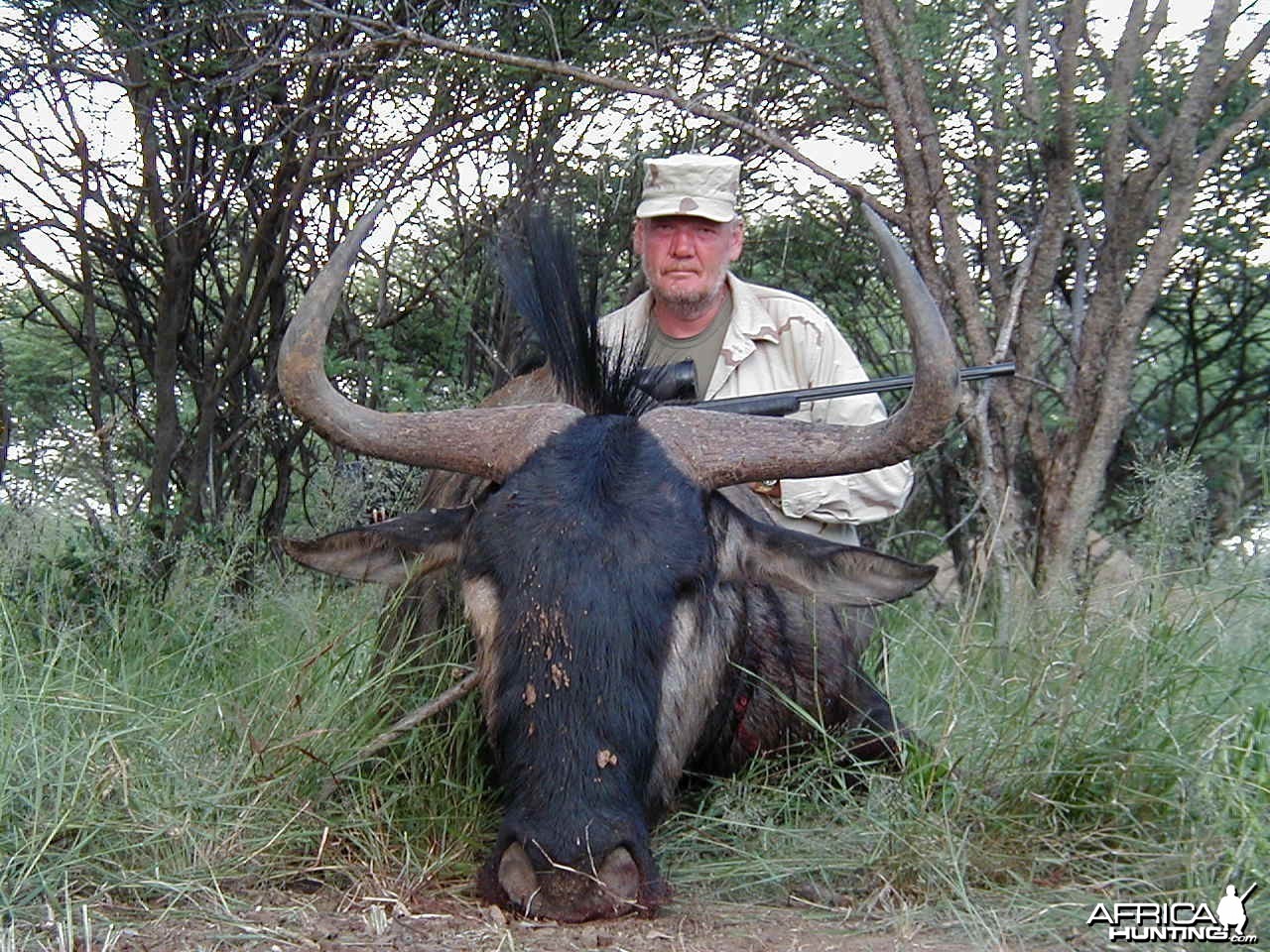 Hunting Blue Wildebeest in Namibia