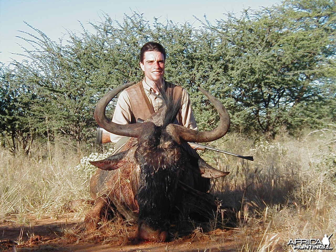 Hunting Blue Wildebeest in Namibia