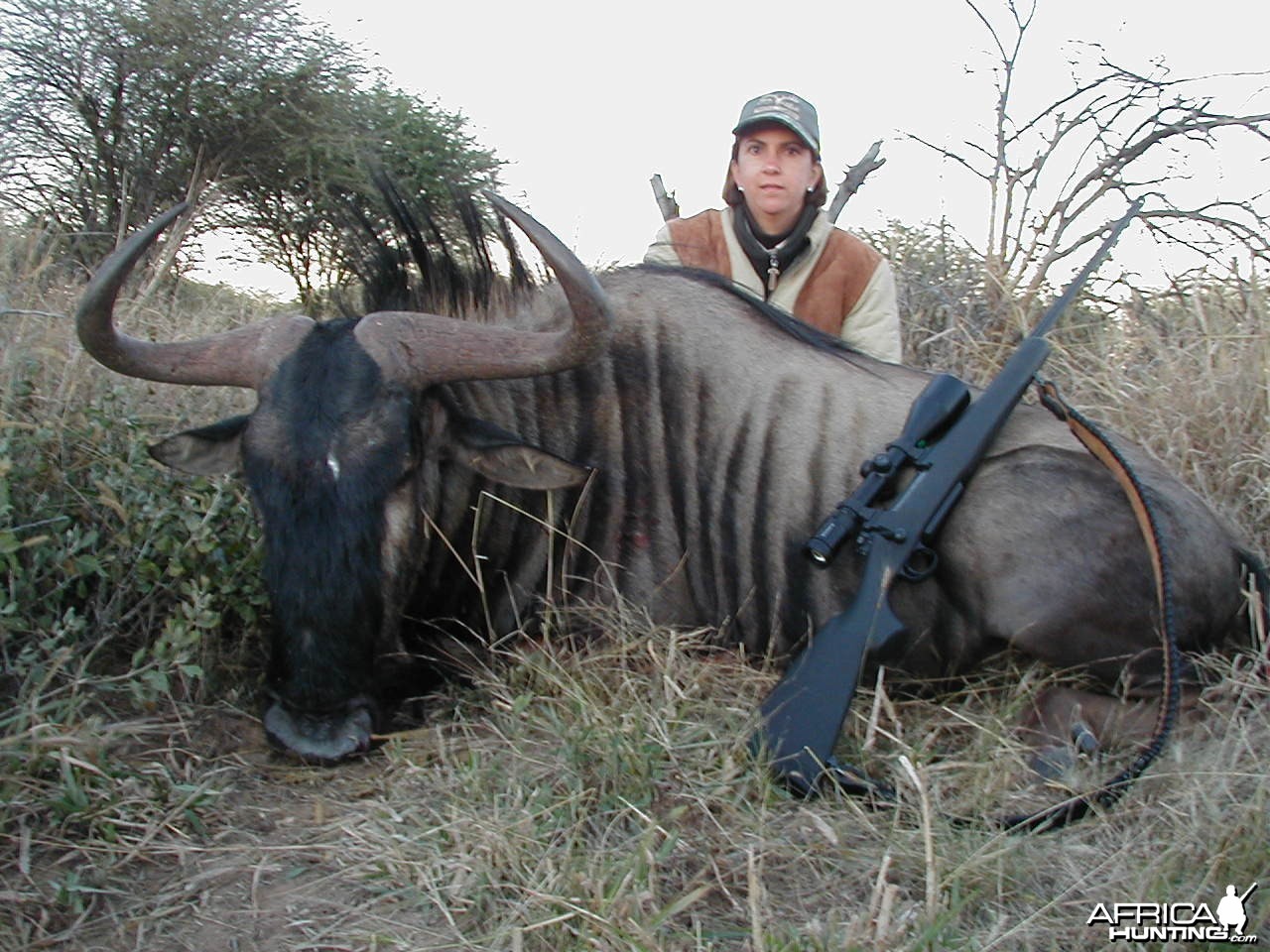 Hunting Blue Wildebeest in Namibia