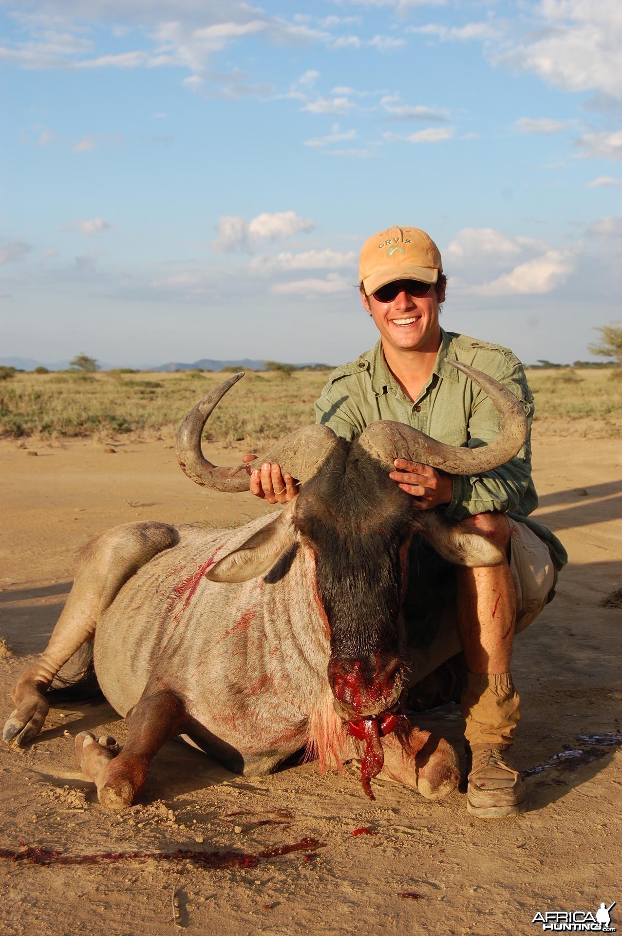 Wildebeest Tanzania