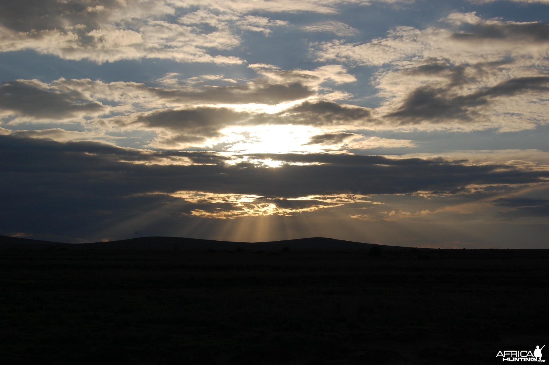 Tanzania Skies