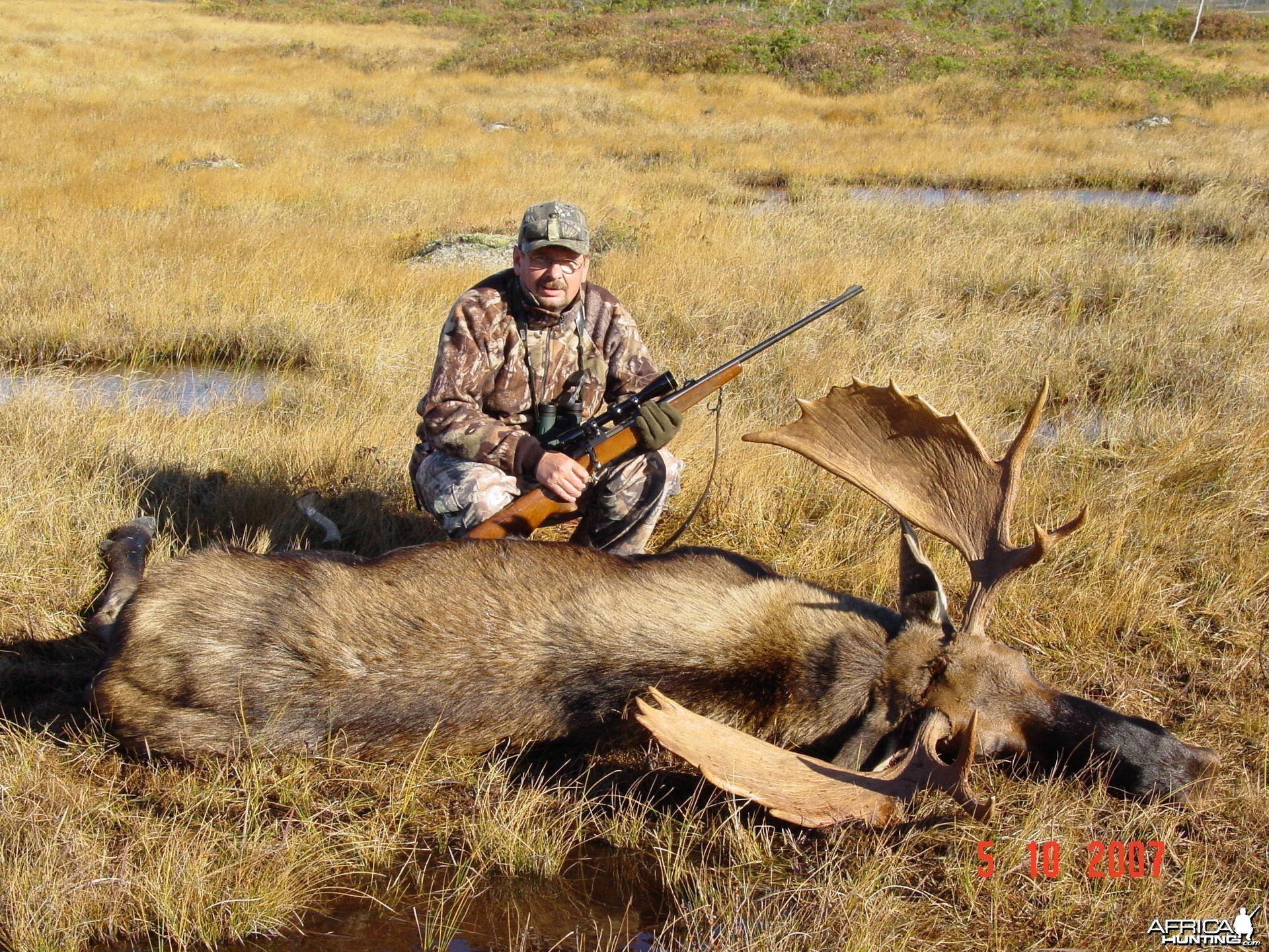 Hunting Moose