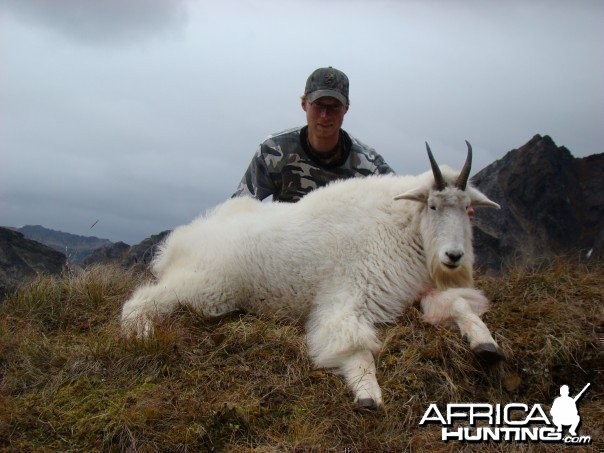 Hunting high alpine mountain goat