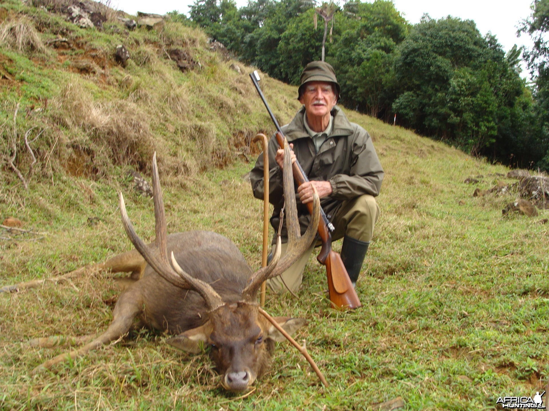 Hunting Rusa Deer Mauritius