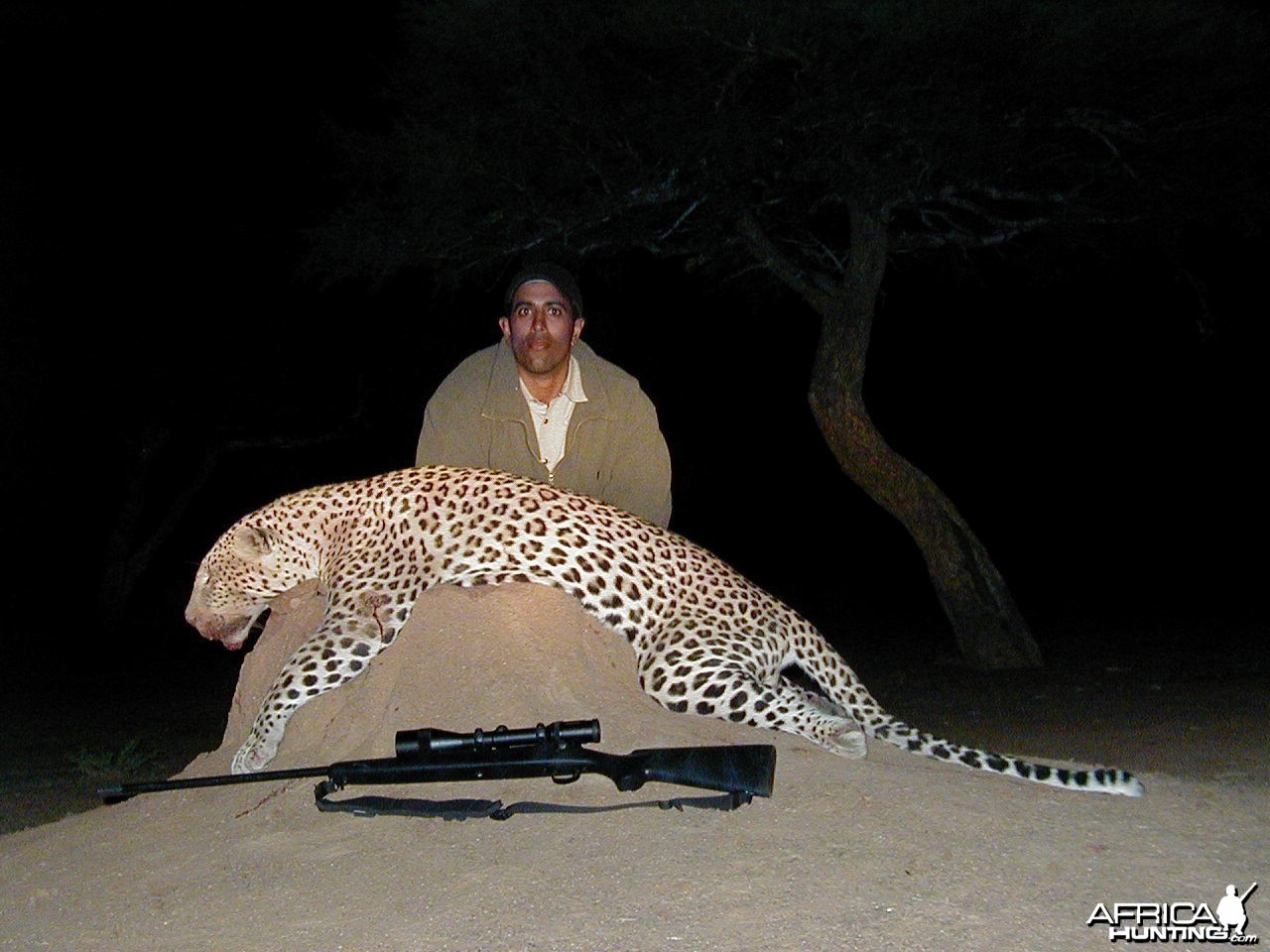 Hunting Leopard in Namibia