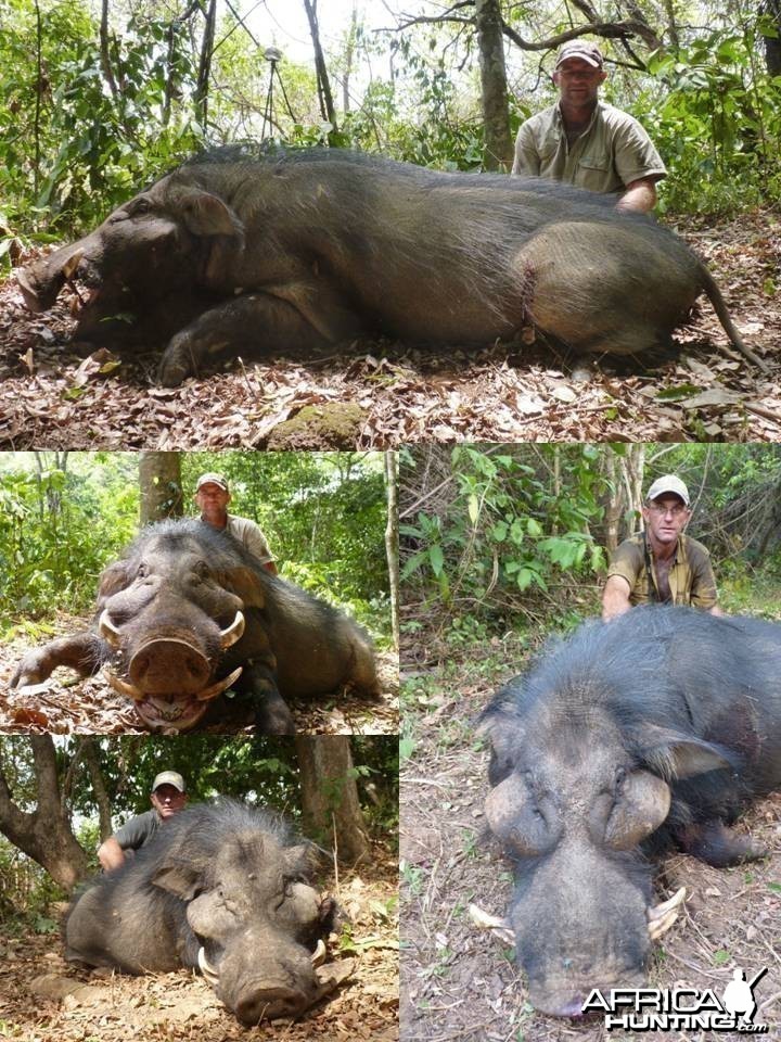 Hunting in Central African Republic