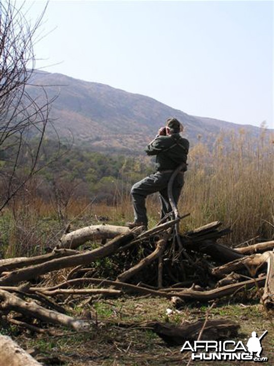 My Leopard Hunt with Motsomi Safaris in South Africa