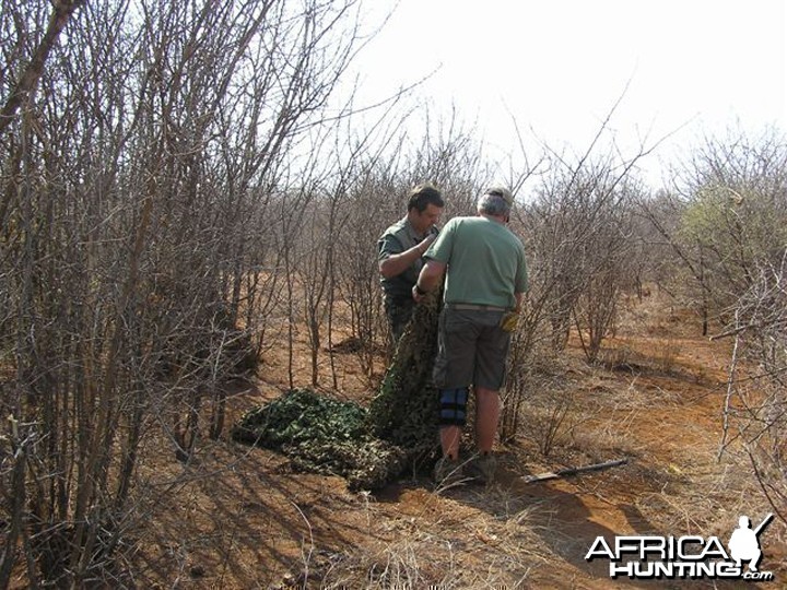 My Leopard Hunt with Motsomi Safaris in South Africa