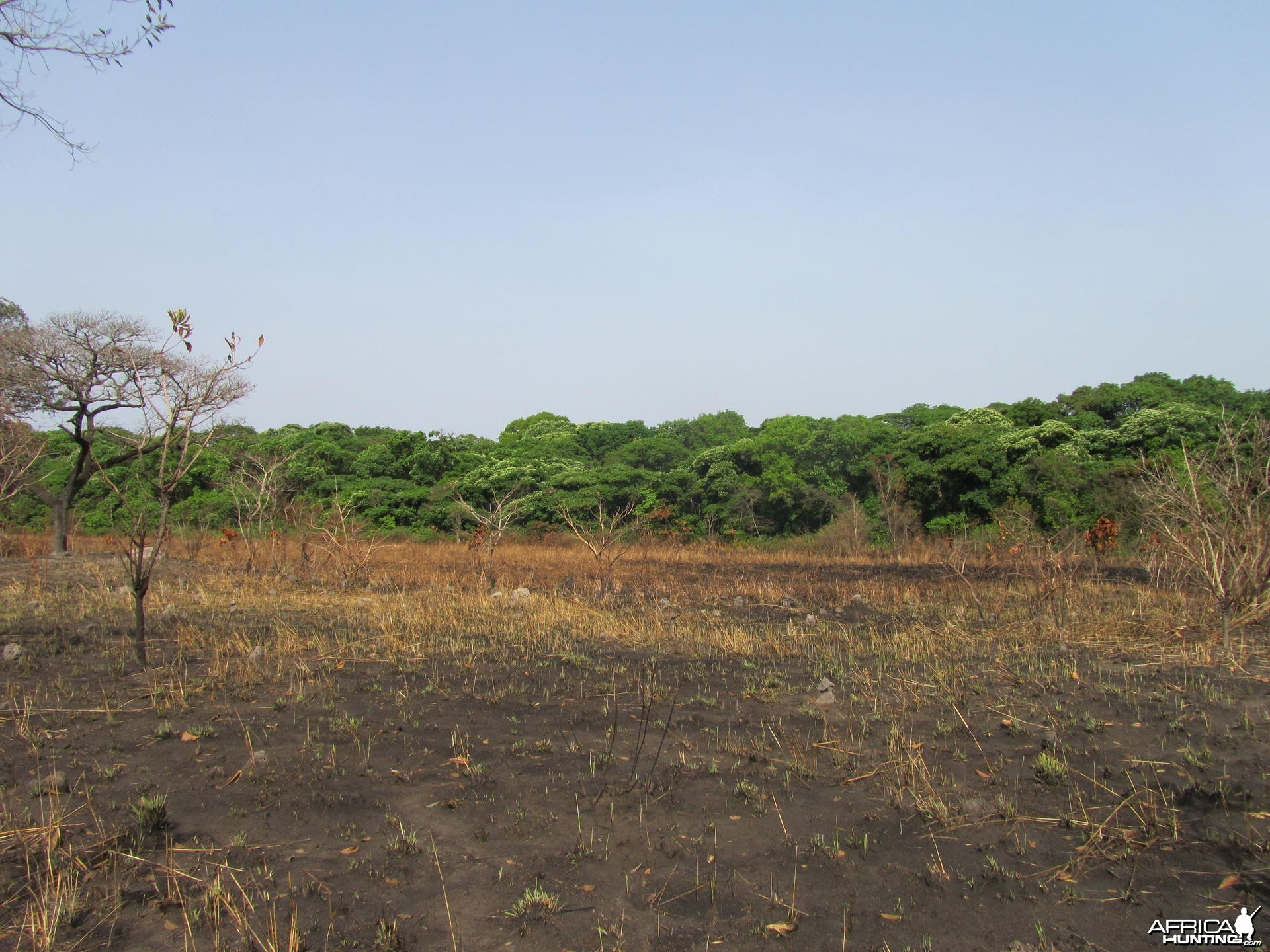 Open area in CAR