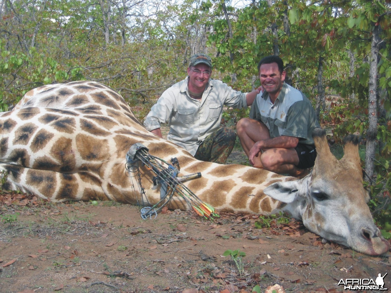 stinky bull, shot in RSA 2007