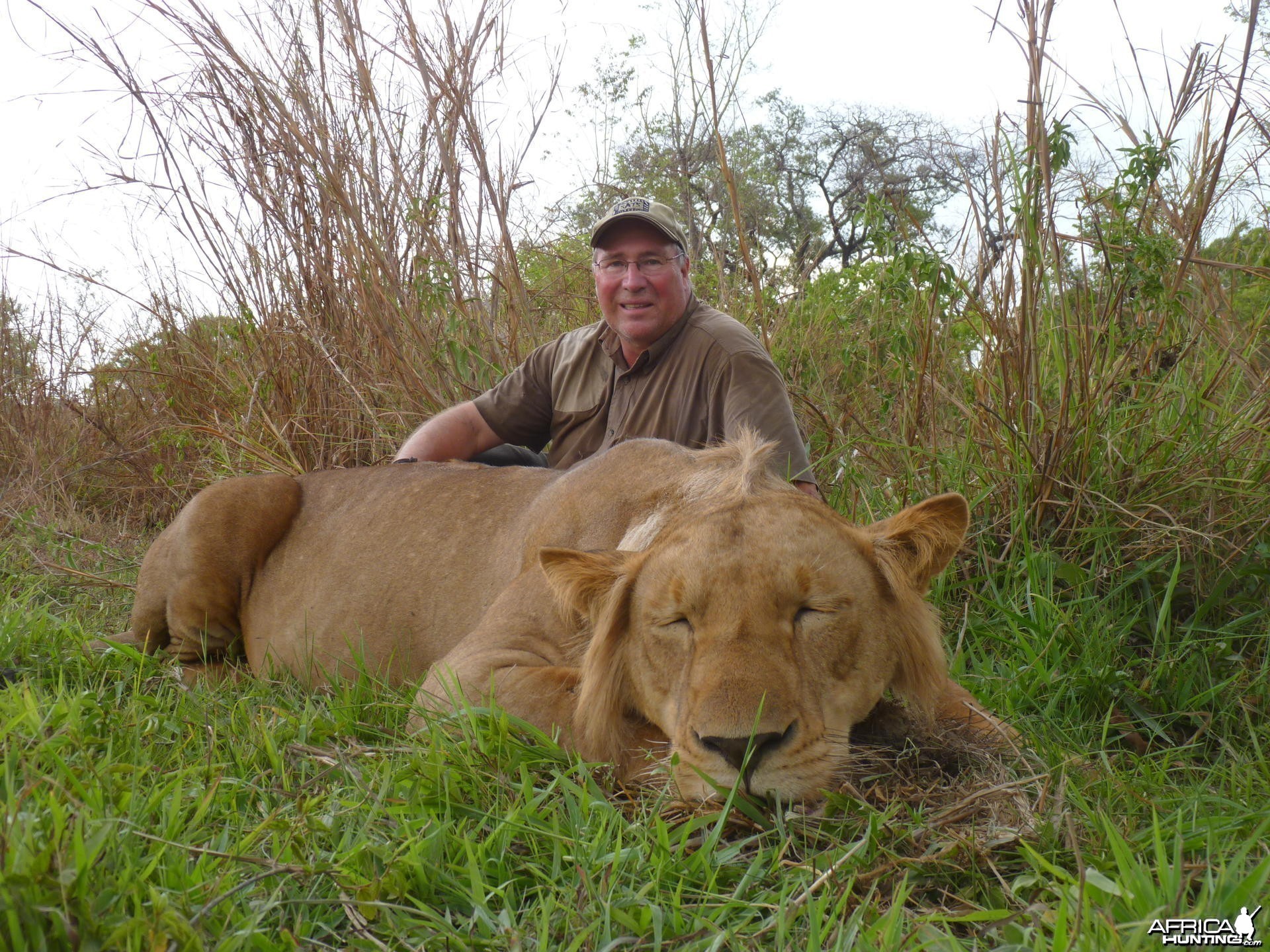 Hunting Lion in CAR