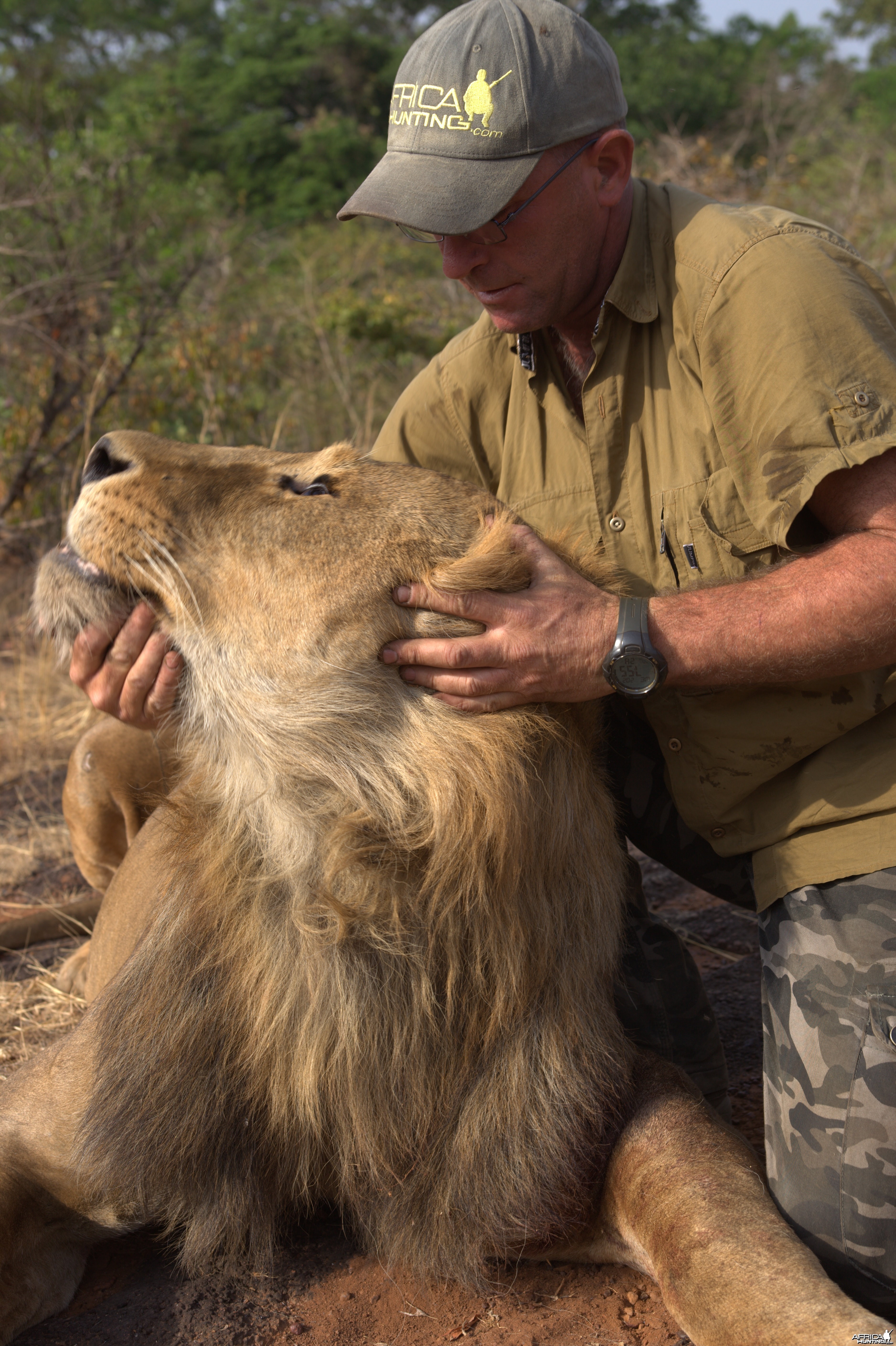 Lion hunted in CAR