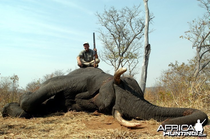 Elephant Hunting